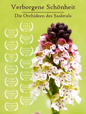 Image Verborgene Schönheit: Die Orchideen des Saaletals