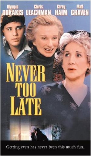 Poster Never Too Late 1996