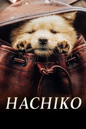 Poster Hachiko 2023