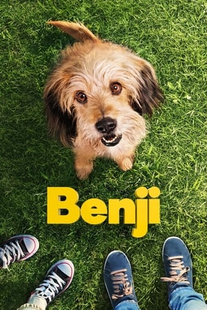 Poster Benji 2018