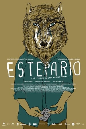 Poster Estepario 2021