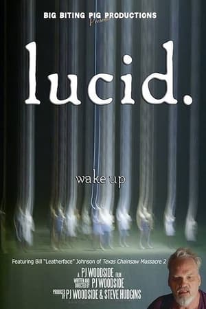 Poster Lucid 2013