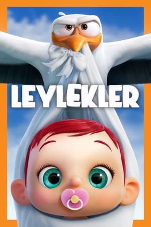 Poster Leylekler 2016