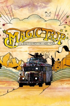 Poster Magic Trip 2011