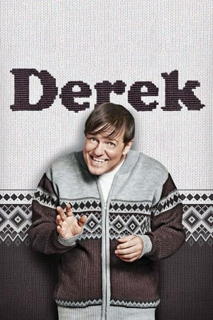 Poster Derek Special 2015