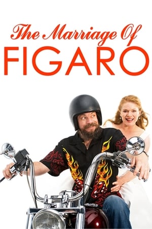 Poster The Marriage of Figaro 2009