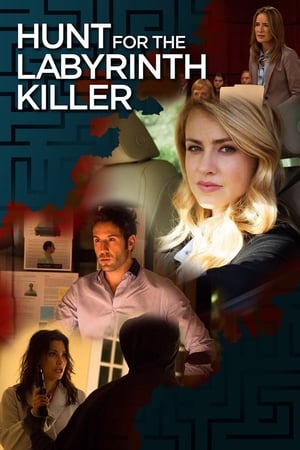 Poster El asesino del laberinto 2013