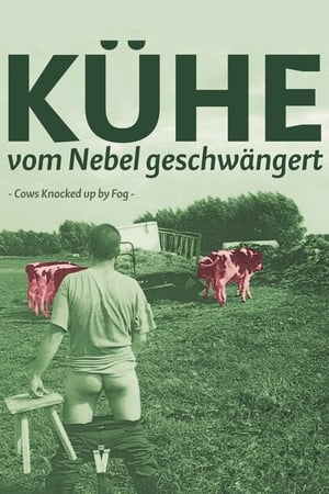 Poster Kühe, vom Nebel geschwängert 2002
