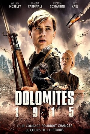 Poster Dolomites 1915 2014