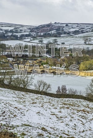 Poster Winter Walks 2ος κύκλος Επεισόδιο 4 2021