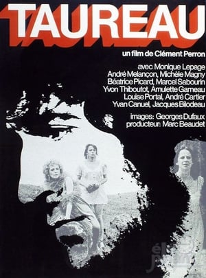 Poster Taureau 1973
