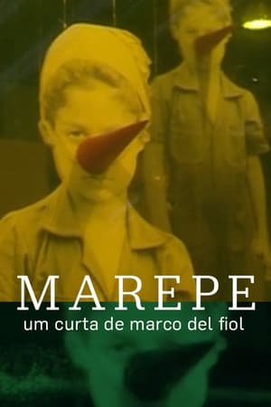 Poster Marepe 2006