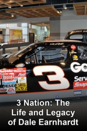 Poster 3 Nation: The Life and Legacy of Dale Earnhardt 2004