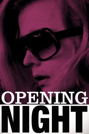 Poster Opening Night 1977