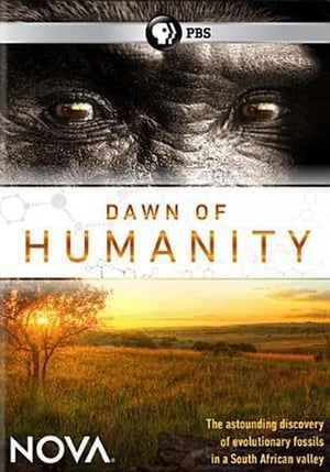 Poster Dawn of Humanity 2015