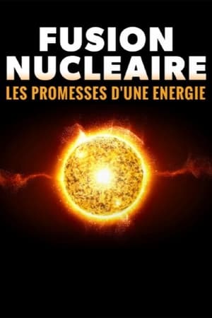 Image Versprechen Kernfusion? - Der Wettlauf um die Energie der Zukunft