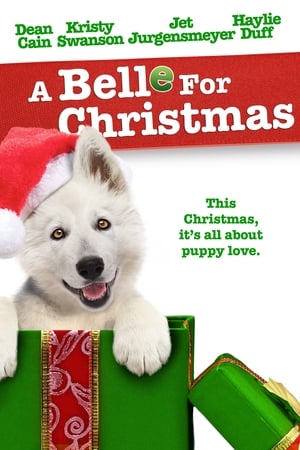 Poster Navidad para Belle 2014
