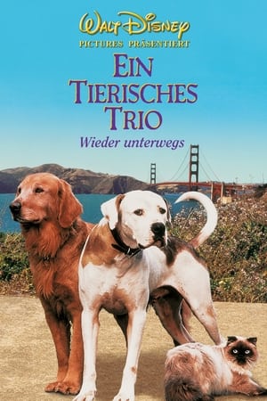 Poster Ein tierisches Trio - Wieder unterwegs 1996