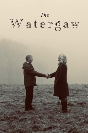 Poster The Watergaw 2024