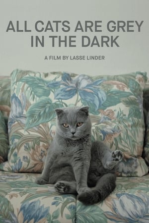 Image В темноте все кошки серы