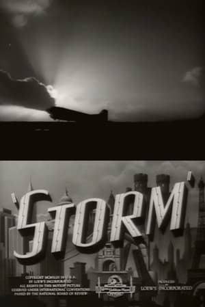 Poster Storm 1943