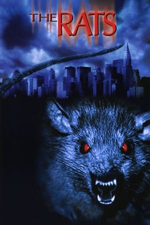 Poster Ratten - Sie sind überall! 2002