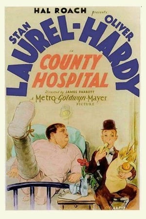 Poster V nemocnici 1932