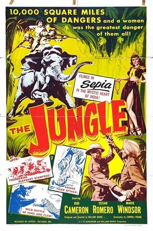 Poster The Jungle 1952