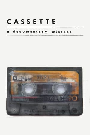Poster Cassette: A Documentary Mixtape 2016