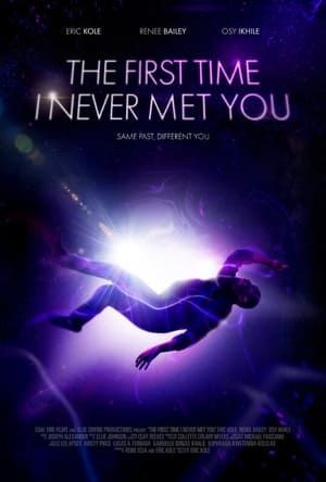 Poster The First Time I Never Met You 2024