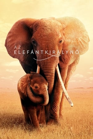 Poster Az elefántkirálynő 2019