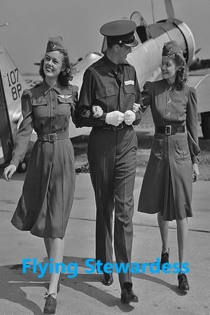 Poster Flying Stewardess 1940