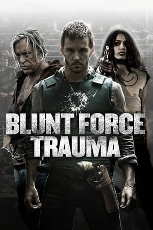 Image The Effects of Blunt Force Trauma