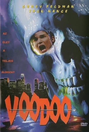 Poster Voodoo 1995