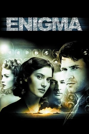 Poster Енигма 2001