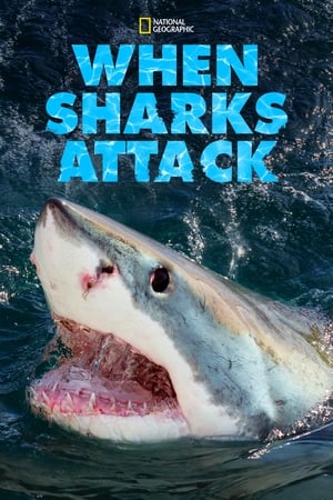 Image When Sharks attack...