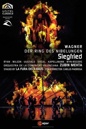 Poster Wagner: Siegfried 2010