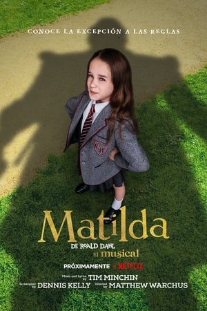 Poster Matilda de Roald Dahl: El musical 2022