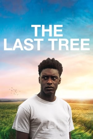 Poster The Last Tree 2019