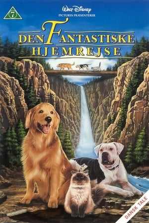 Poster Den fantastiske hjemrejse 1993