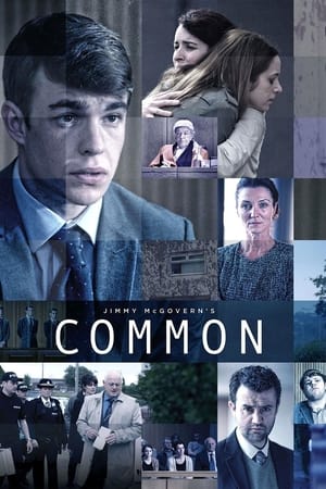 Poster Common 2014
