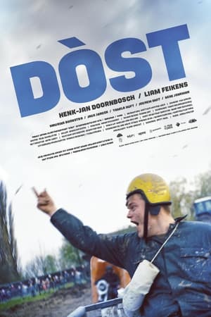 Poster Dòst 2018