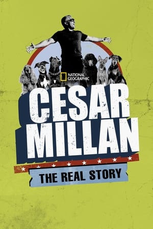 Poster Cesar Millán, la vraie histoire 2012