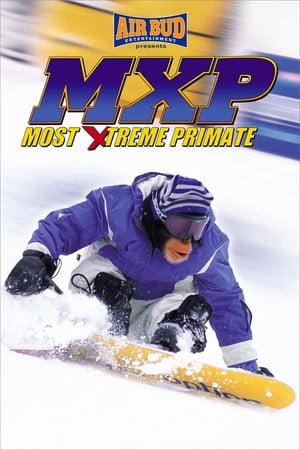 Poster MXP: Most Xtreme Primate 2004