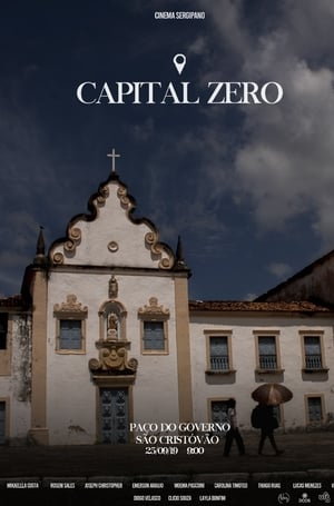 Poster Capital Zero 2019