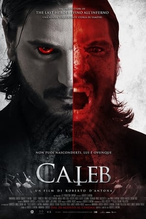 Poster Caleb 2020