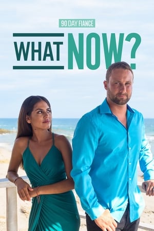 Poster 90 Day Fiancé: What Now? 2017