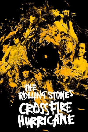 Poster Crossfire Hurricane 2012