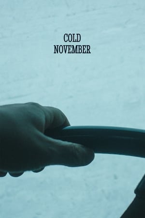 Poster Nëntor i ftohtë 2018
