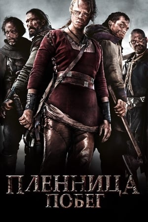 Poster Пленница. Побег 2012